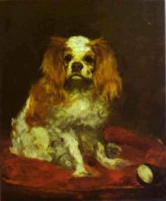 Haga click para ver la imagen ampliada a king charles spaniel.jpg